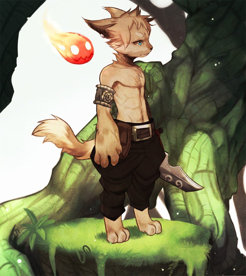 תמונה - 0 (1).jpg